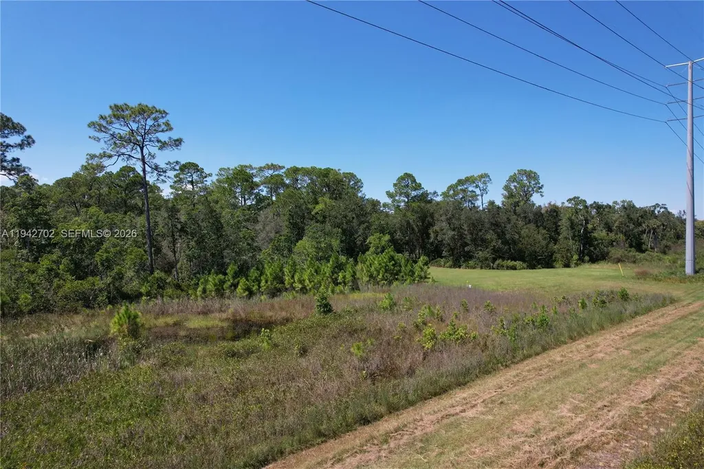 0 Jb Carter Road Other City - In The State Of Florida FL 33844