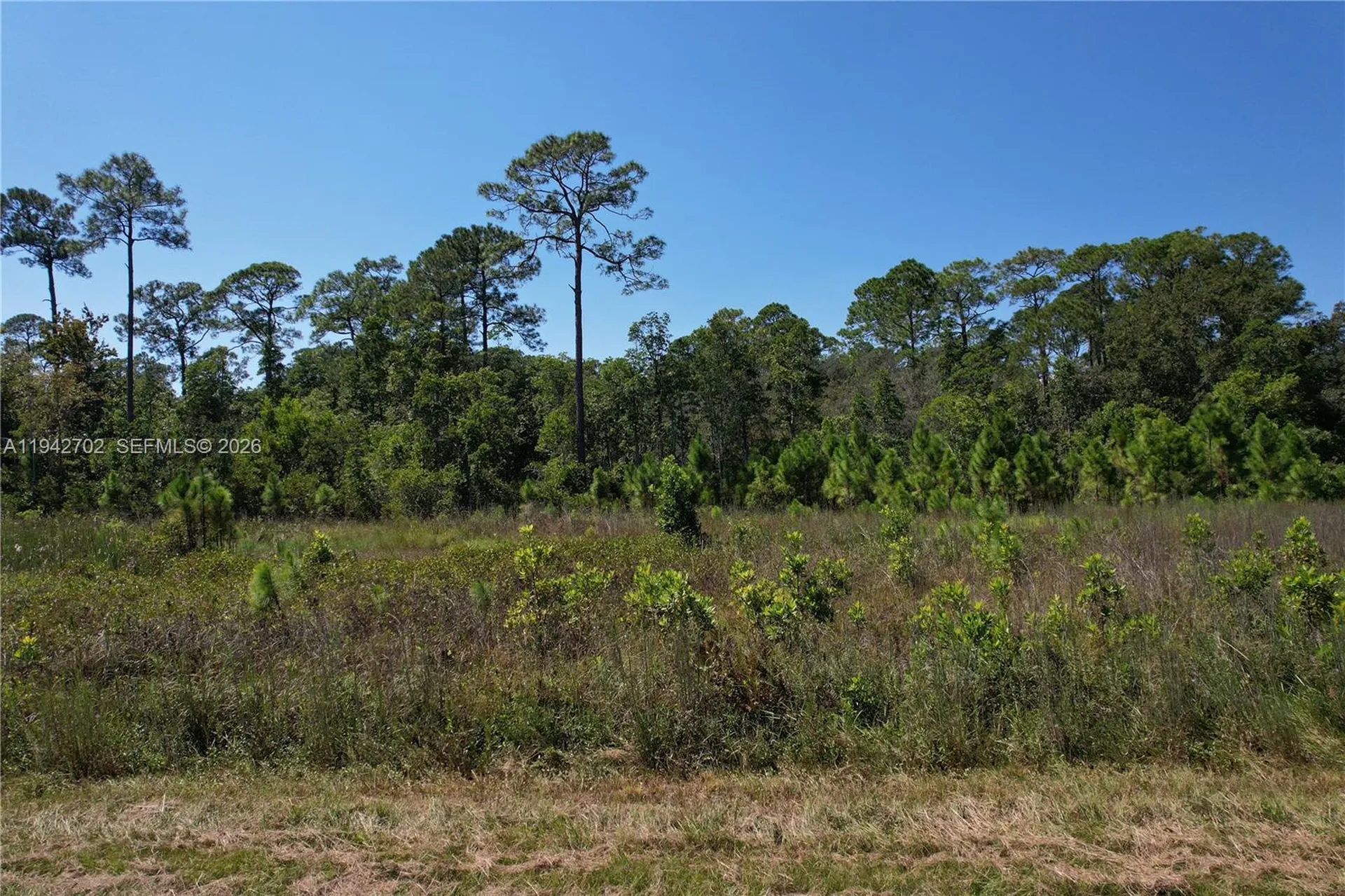 0 Jb Carter Road Other City - In The State Of Florida FL 33844
