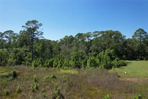 0 Jb Carter Road Other City - In The State Of Florida FL 33844