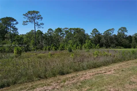 0 Jb Carter Road Other City - In The State Of Florida FL 33844