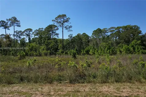 0 Jb Carter Road Other City - In The State Of Florida FL 33844