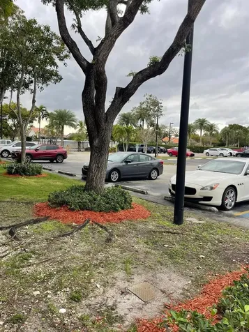 21133 SW 85th Avenue Cutler Bay FL 33189