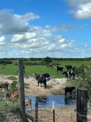 27325 NW 72 Okeechobee FL 34972