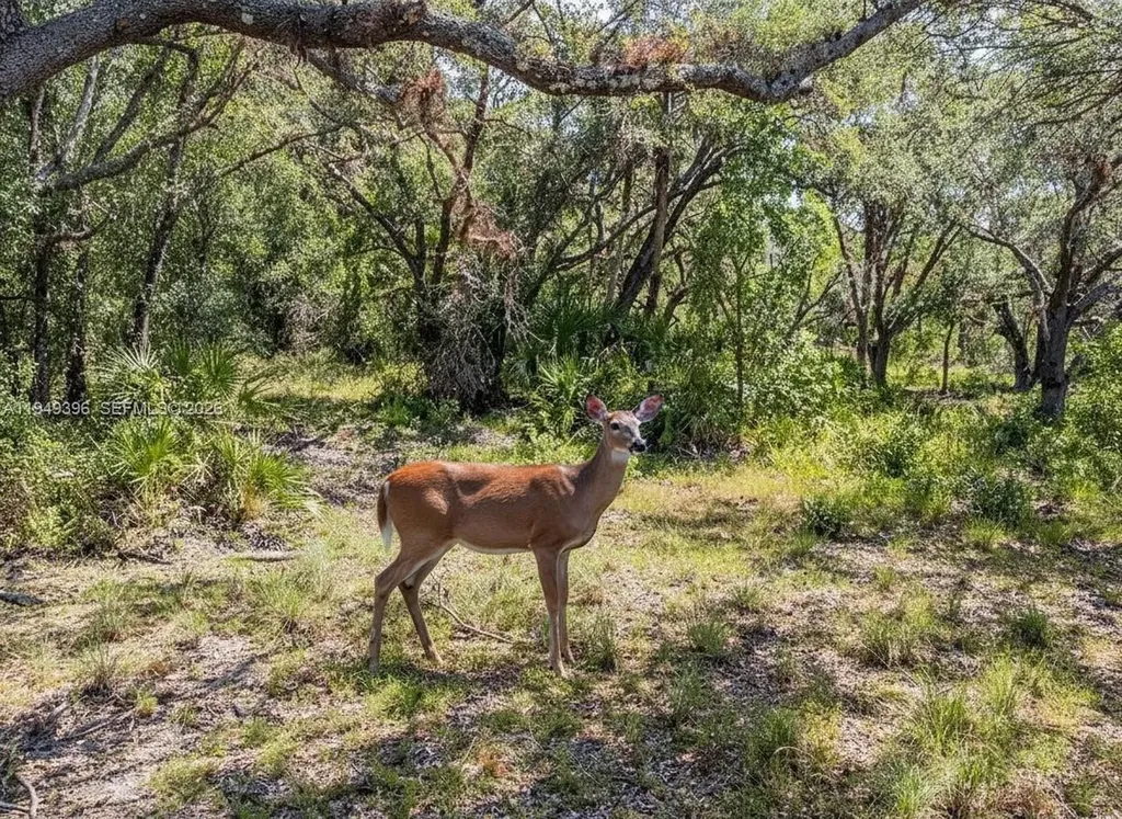 1 Catamount Road Other City - In The State Of Florida FL 33935