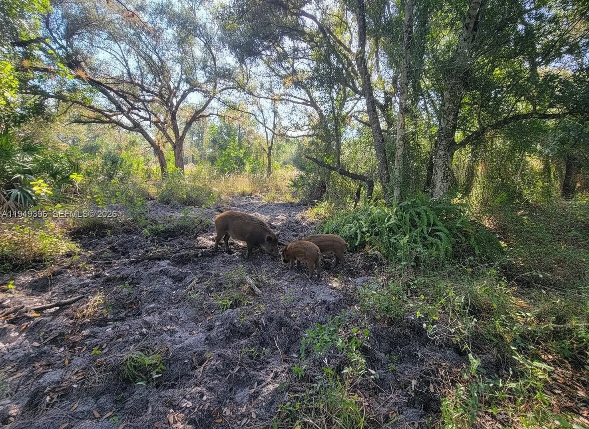 1 Catamount Road Other City - In The State Of Florida FL 33935