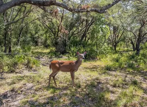 1 Catamount Road Other City - In The State Of Florida FL 33935