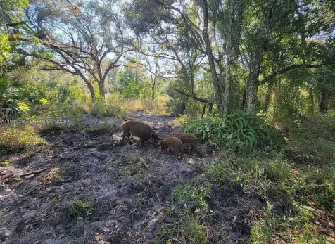1 Catamount Road Other City - In The State Of Florida FL 33935
