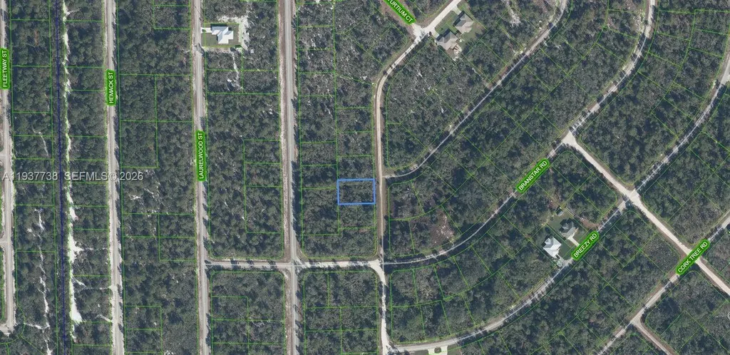 3292 Gossamer Avenue Lake Placid FL 33852