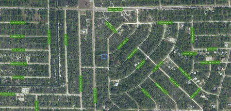 3292 Gossamer Avenue Lake Placid FL 33852