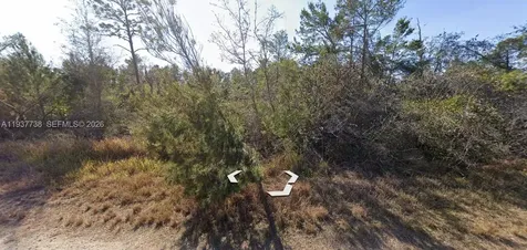 3292 Gossamer Avenue Lake Placid FL 33852