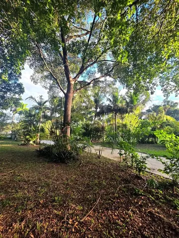 Davie FL 33314