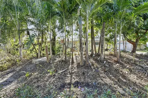 1051 W Tropical Way Plantation FL 33317