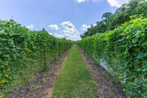 21955 SW 264th Street Homestead FL 33031