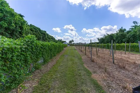 21955 SW 264th Street Homestead FL 33031
