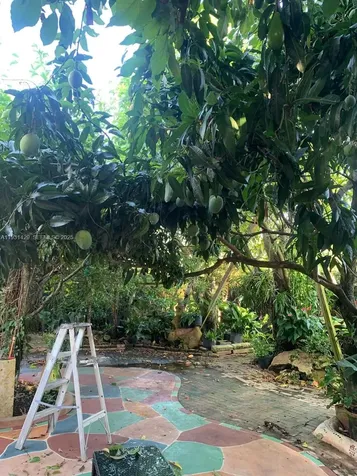 10955 SW 56th Street Miami FL 33165