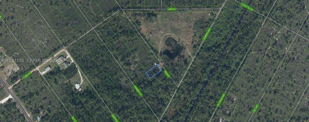 546 Palm Street Lake Placid FL 33852