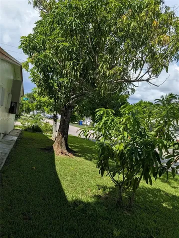 4550 NW 43rd Street Lauderdale Lakes FL 33319