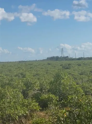 Unincorporated, Unincorporated, Homestead FL 33035