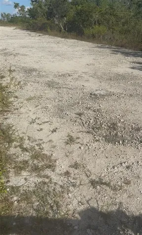 Unincorporated, Unincorporated, Homestead FL 33035