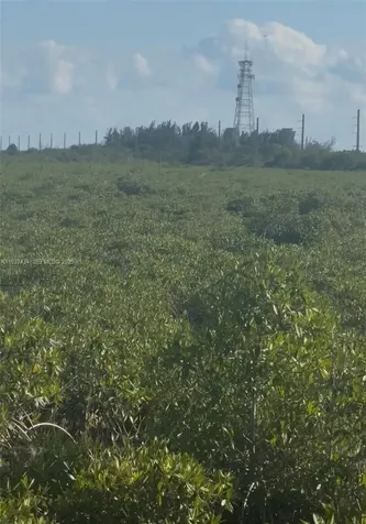 Unincorporated, Unincorporated, Homestead FL 33035
