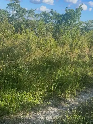 Unincorporated, Unincorporated, Homestead FL 33035
