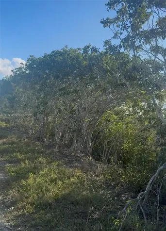 Unincorporated, Unincorporated, Homestead FL 33035