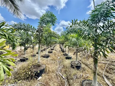 32800 SW 202nd Avenue Homestead FL 33034