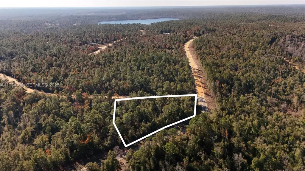 0 Alene Drive Other City - In The State Of Florida FL 32420
