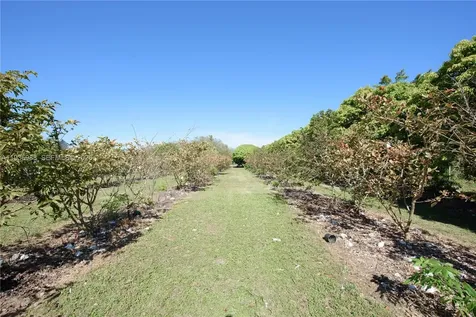 21295 SW 376th Street Homestead FL 33034