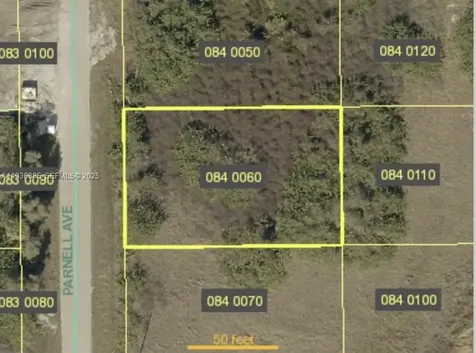 423 Parnell Avenue Lehigh Acres FL 33974