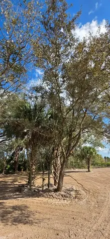19946 NW 254 Street Okeechobee FL 34972