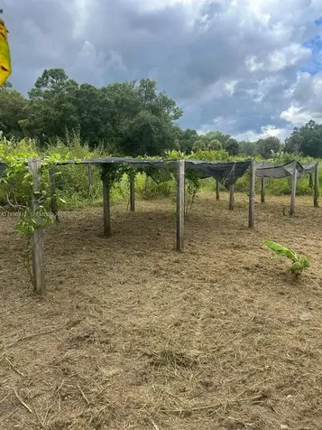 460 S Sendero Clewiston FL 33440