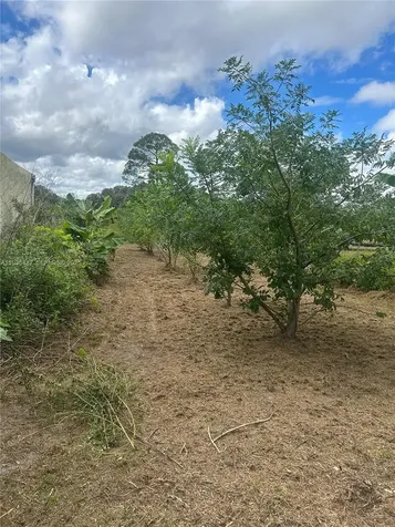 460 S Sendero Clewiston FL 33440