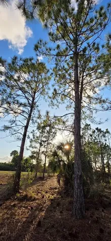 17923 NW 298 Street Okeechobee FL 34972