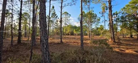 17923 NW 298 Street Okeechobee FL 34972