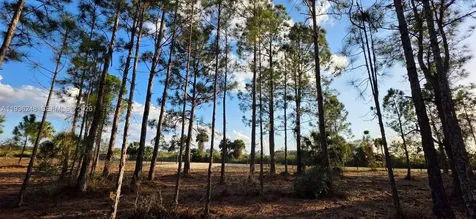 17923 NW 298 Street Okeechobee FL 34972