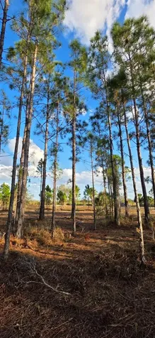 17923 NW 298 Street Okeechobee FL 34972