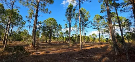 17923 NW 298 Street Okeechobee FL 34972