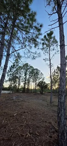 17975 NW 298 Street Okeechobee FL 34972