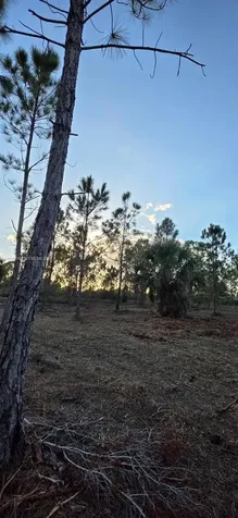 17975 NW 298 Street Okeechobee FL 34972