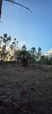 17975 NW 298 Street Okeechobee FL 34972