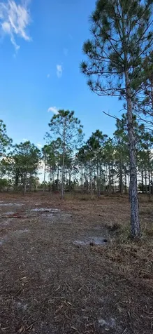 17975 NW 298 Street Okeechobee FL 34972