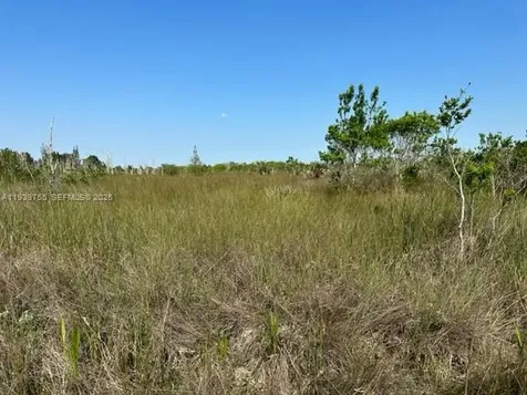 36050 SW 127 Avenue Unincorporated Dade FL 33035