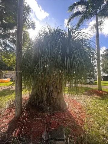 17540 SW 254th Street Homestead FL 33031