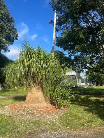 17540 SW 254th Street Homestead FL 33031