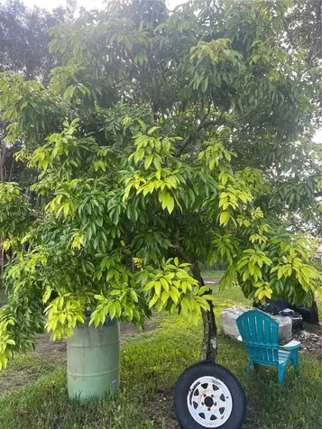 17540 SW 254th Street Homestead FL 33031