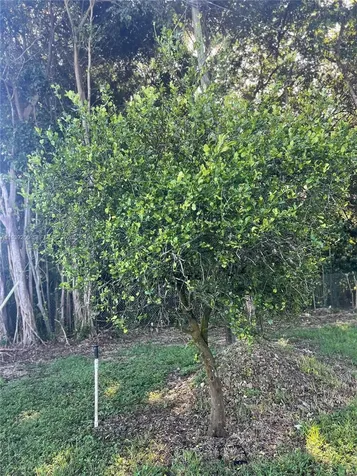 17540 SW 254th Street Homestead FL 33031