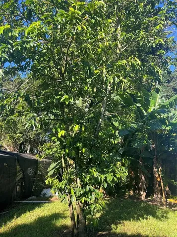 17540 SW 254th Street Homestead FL 33031