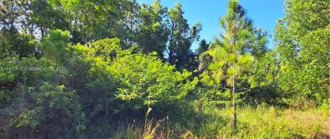 618 Parkdale Boulevard Lehigh Acres FL 33974