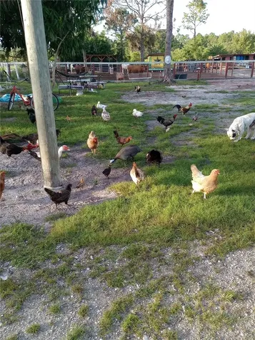 618 Hunting Club Clewiston FL 33440
